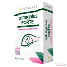 Medicamente pe afectiuni Astragalus Forte x 30 Capsule