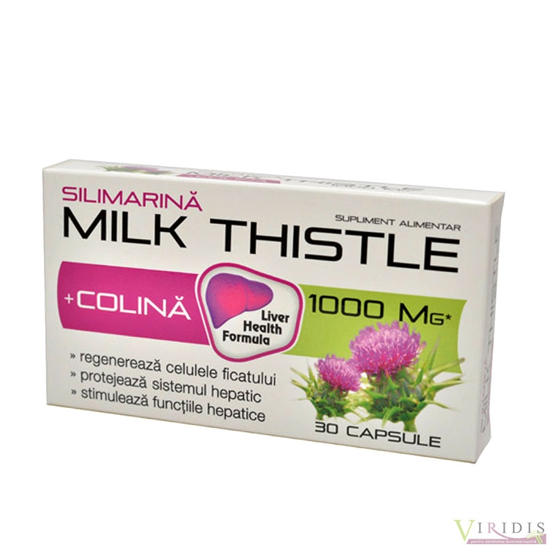 Silimarina Milk Thistle 1000 Mg x 30 Capsule