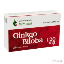  Ginkgo Biloba - 120mg x 30 Capsule