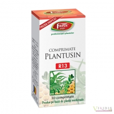 Medicamente pe afectiuni Plantusin - R13 - 30 comprimate masticabile