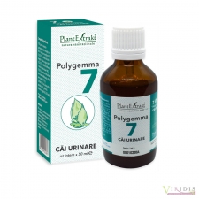 Produse naturiste Polygemma 7 - Cai Urinare, 50ml