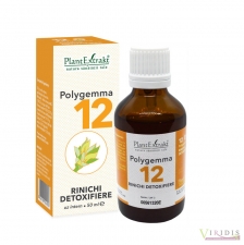  Polygemma 12 - Rinichi Detoxifiere, 50ml