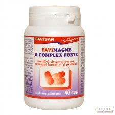 Vitamine-Suplimente Favimagne B Complex Forte x 40 Capsule