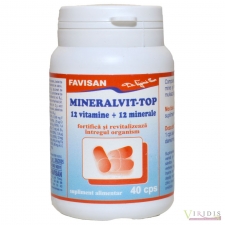 Vitamine-Suplimente Mineralvit Top x 40 Capsule