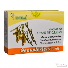 Produse naturiste Muguri Artar De Campie Gemoderivat x 30 Monodoze x 1,5ml