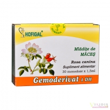 Produse naturiste Mladite Maces Gemoderivat x 30 Monodoze x 1,5ml