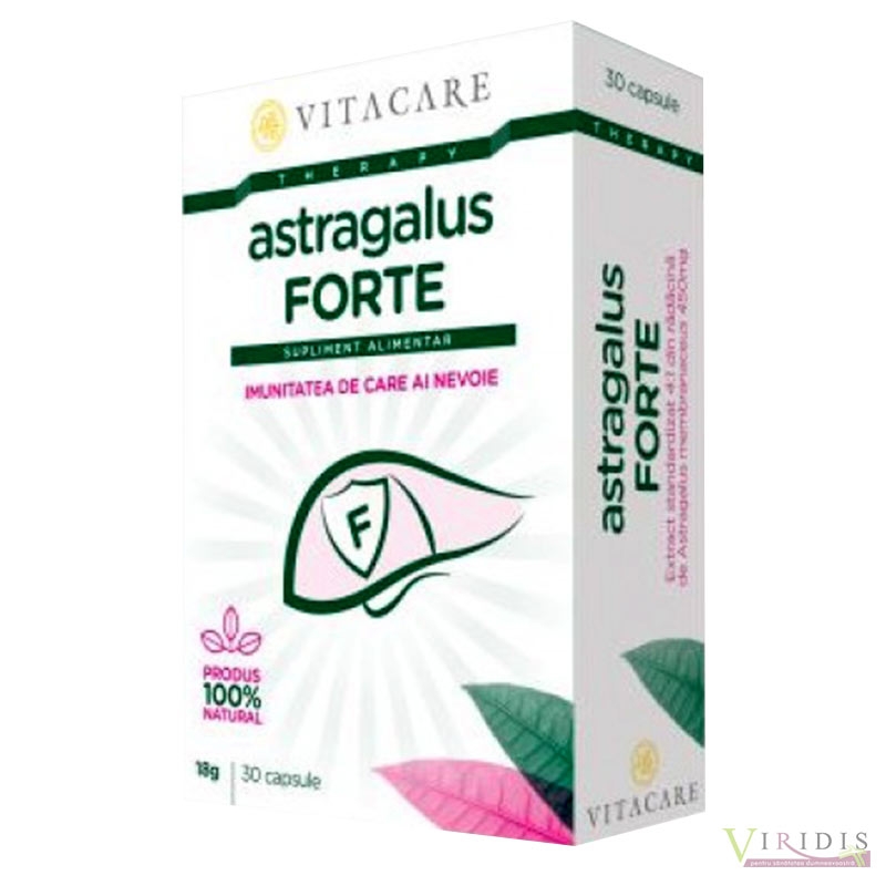 Astragalus Forte x 30 Capsule